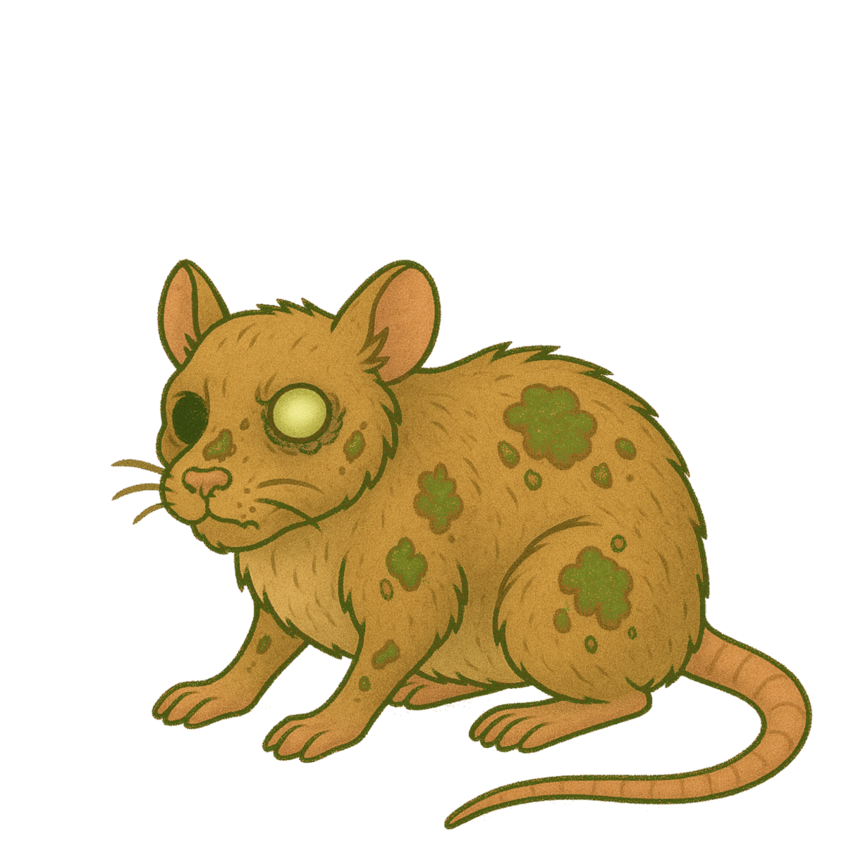 Rat 2
