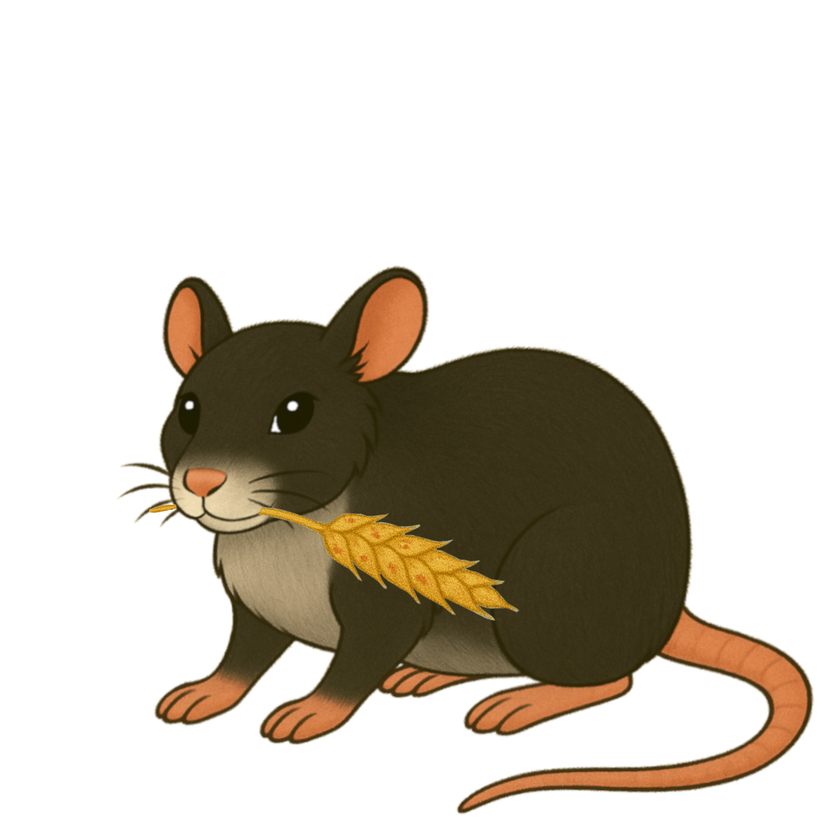 Rat 3